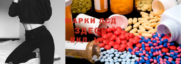 спиды Волосово