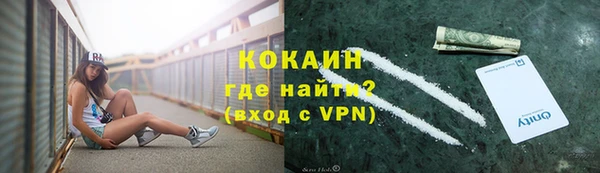 шишки Волоколамск