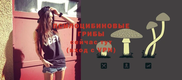 a pvp Верея