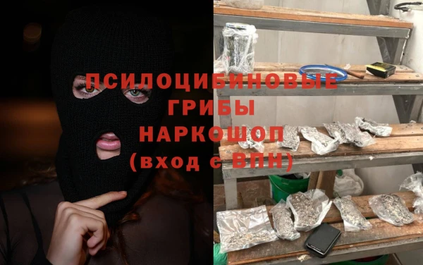 мдпв Володарск