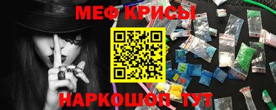 спайс Кингисепп