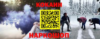 спайс Кингисепп
