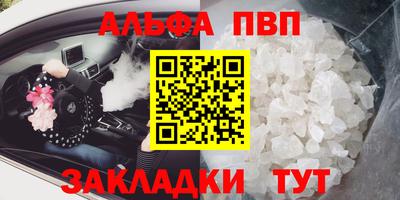 спайс Кингисепп