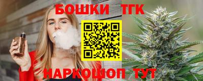спайс Кингисепп
