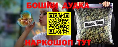 спайс Кингисепп