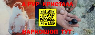 спайс Кингисепп