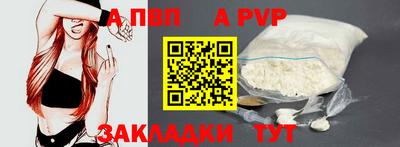 спайс Кингисепп