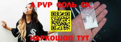 спайс Кингисепп