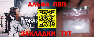 спайс Кингисепп