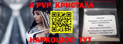 спайс Кингисепп