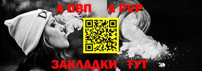 спайс Кингисепп
