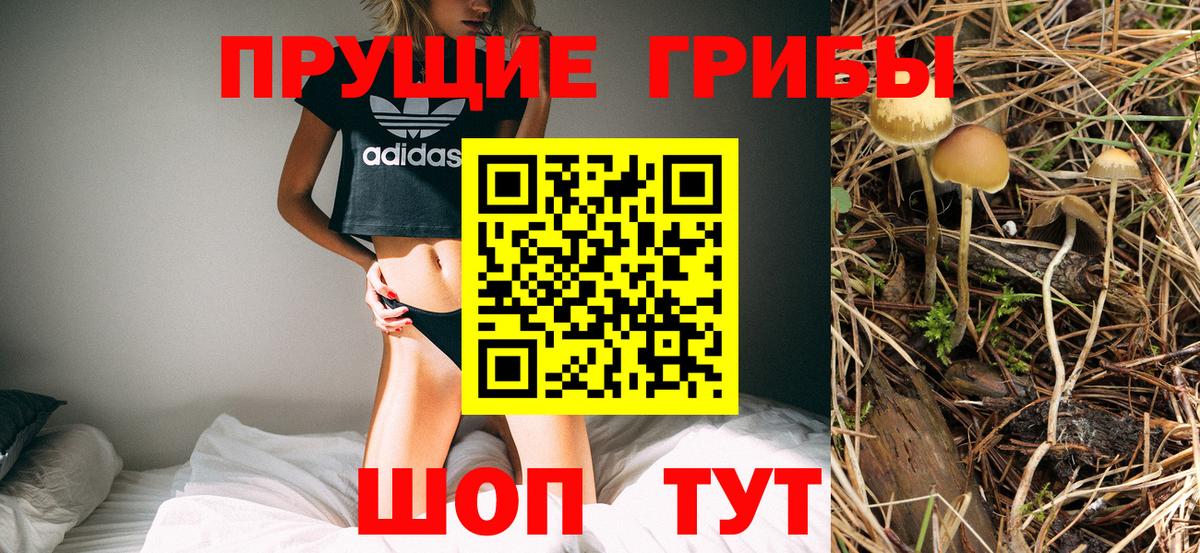 Псилоцибиновые грибы мухоморы Медногорск